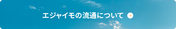 エジャイモの流通について